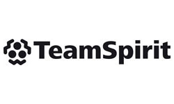 logo-teamspirit